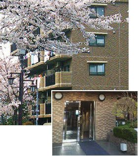 藤和シティコープ大宮桜木町