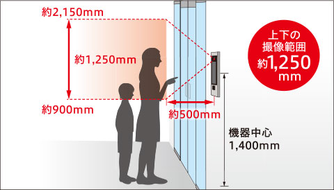 上下の撮像範囲1,250mm