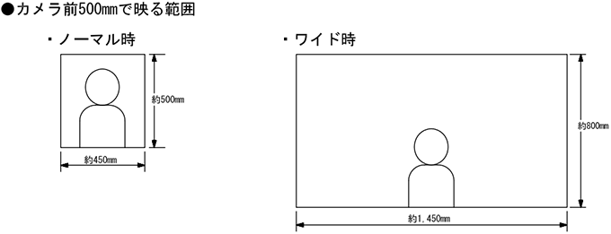 カメラ前500mmで映る範囲